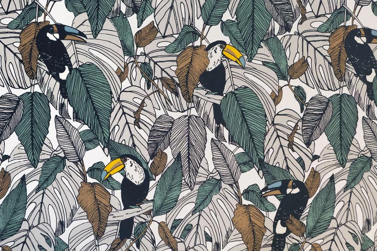 Le Toucan By Cocoonr Rennes France